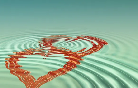 Rokubet Casino Ondersteuning